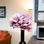 Morgensonne B1105 By Interhome * Lahnstein