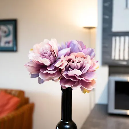 Morgensonne B1105 By Interhome * Rhens